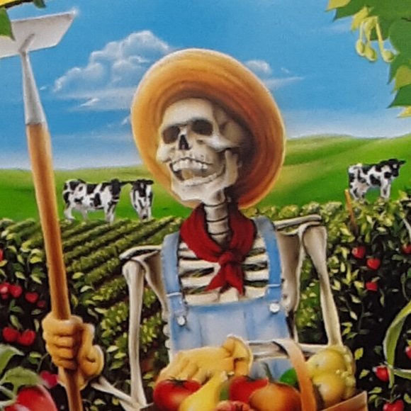 COPY - Grateful Dead Blank Greeting Card Let It Grow Liquid Blue 1997 GDM Disco… - Picture 6 of 9